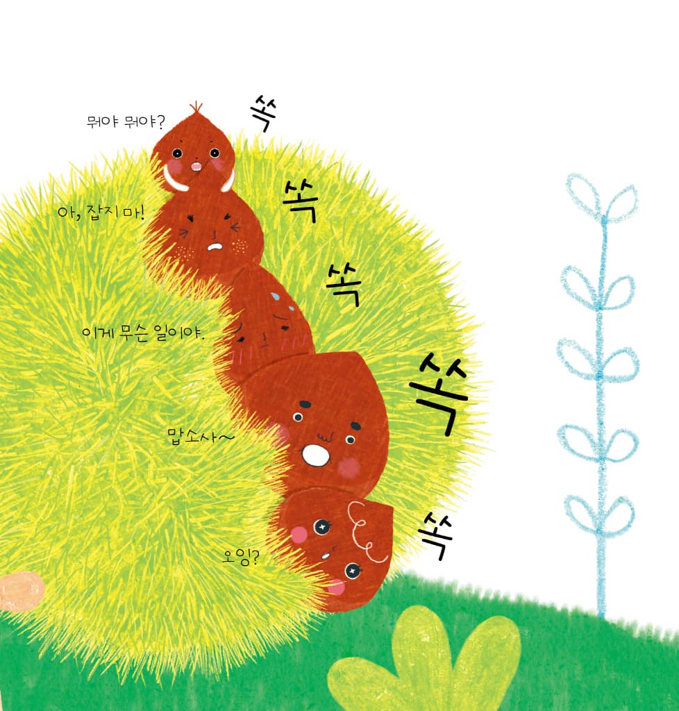식빵집