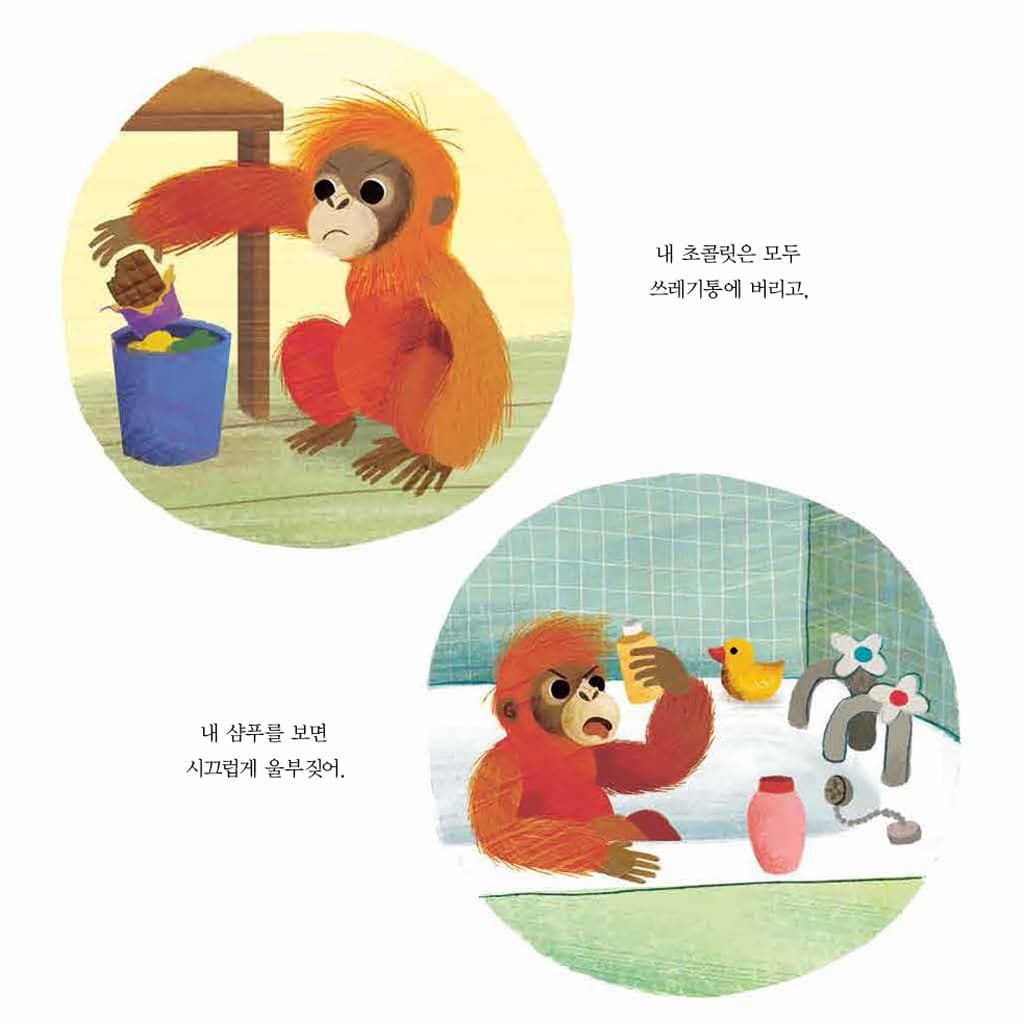 내 방에 랑탄이 나타났어!