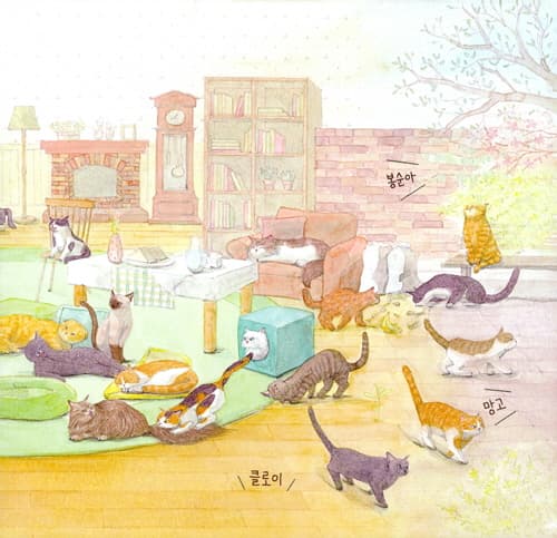 내 이름을 불러 주세요 - 어느 고양이 이야기