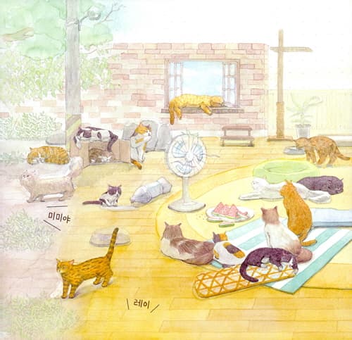 내 이름을 불러 주세요 - 어느 고양이 이야기