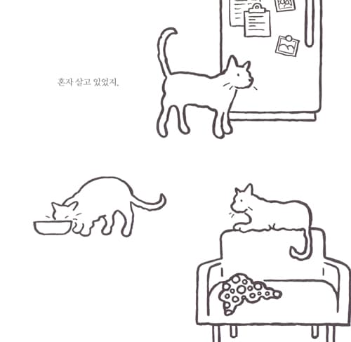큰 고양이, 작은 고양이
