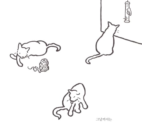 큰 고양이, 작은 고양이
