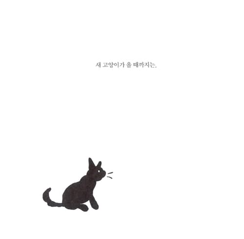 큰 고양이, 작은 고양이