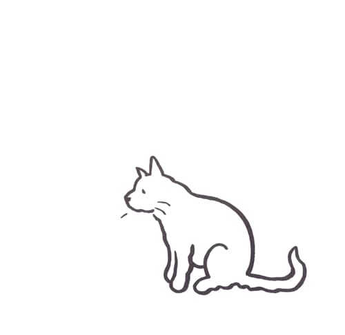 큰 고양이, 작은 고양이