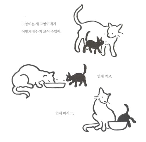 큰 고양이, 작은 고양이