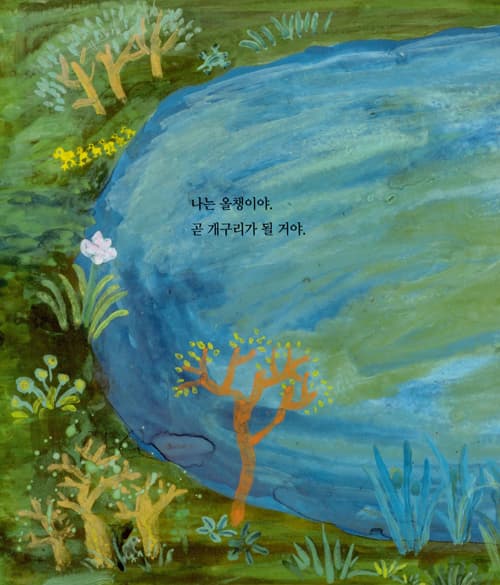 내가 올챙이야?