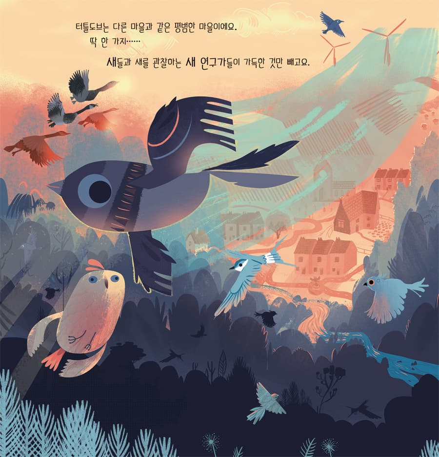 신비한 새 친구