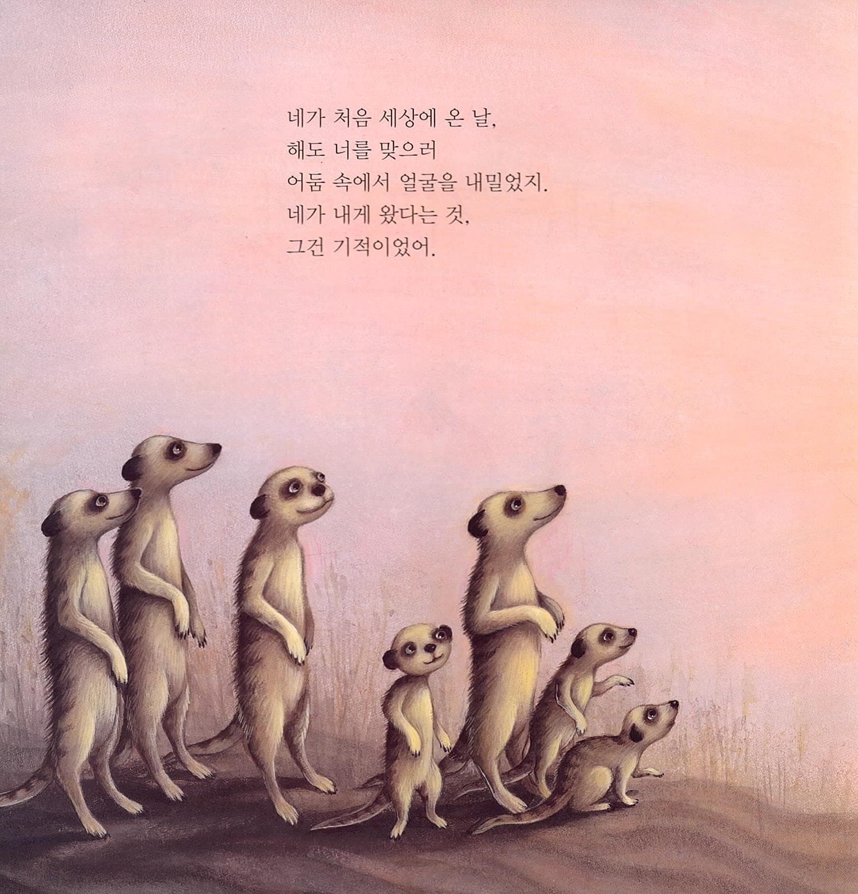 너는 기적이야