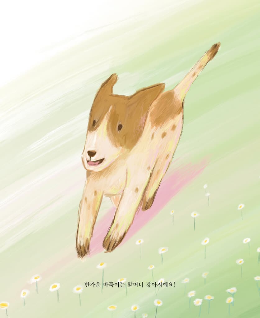 나의 사랑스러운 할머니