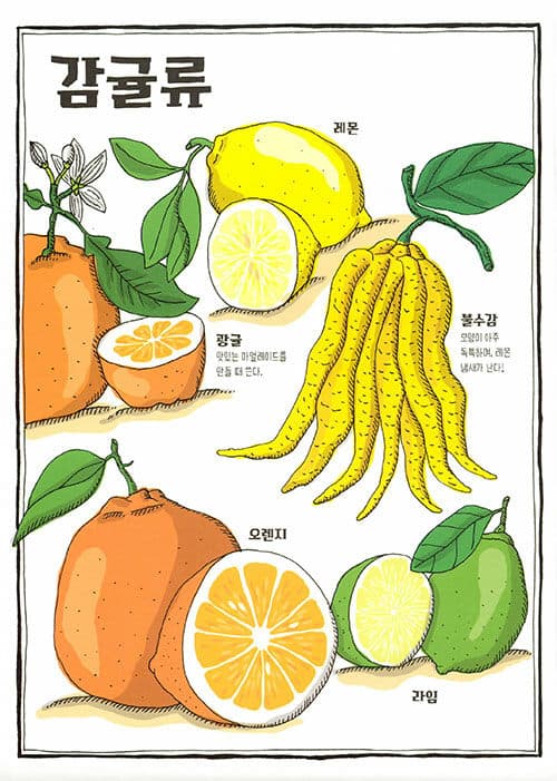 신비한 식물 사전