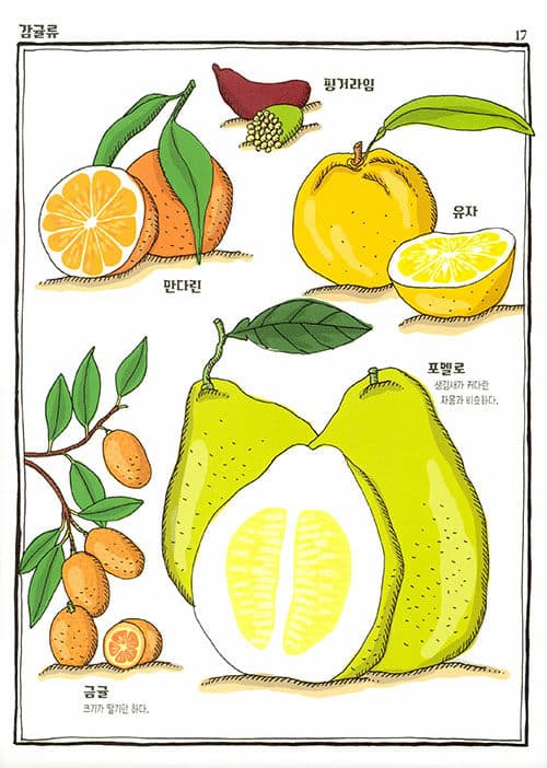 신비한 식물 사전