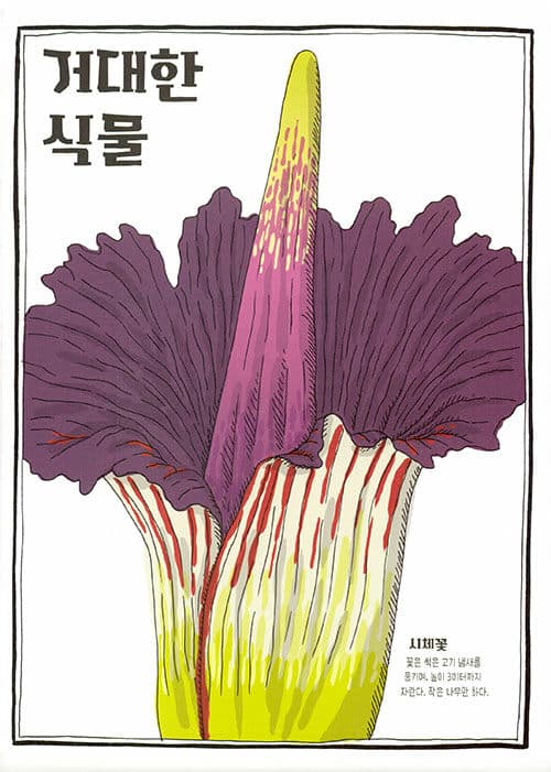 신비한 식물 사전