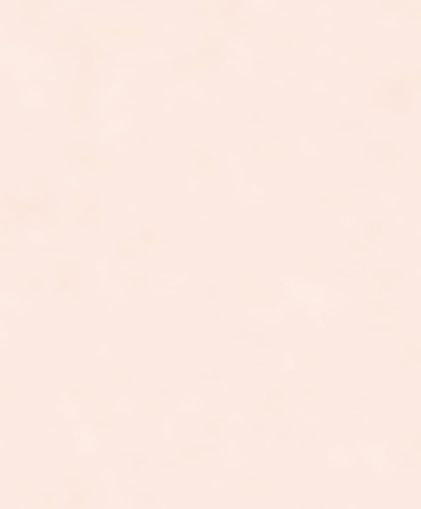 네가 온 날