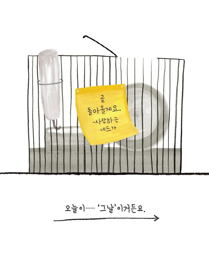 네드가 간다! : 신나는 햄스터 달리기 대회