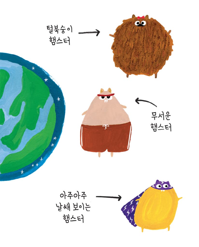 네드가 간다! : 신나는 햄스터 달리기 대회