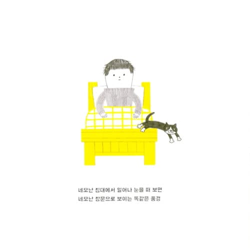 네모의 꿈