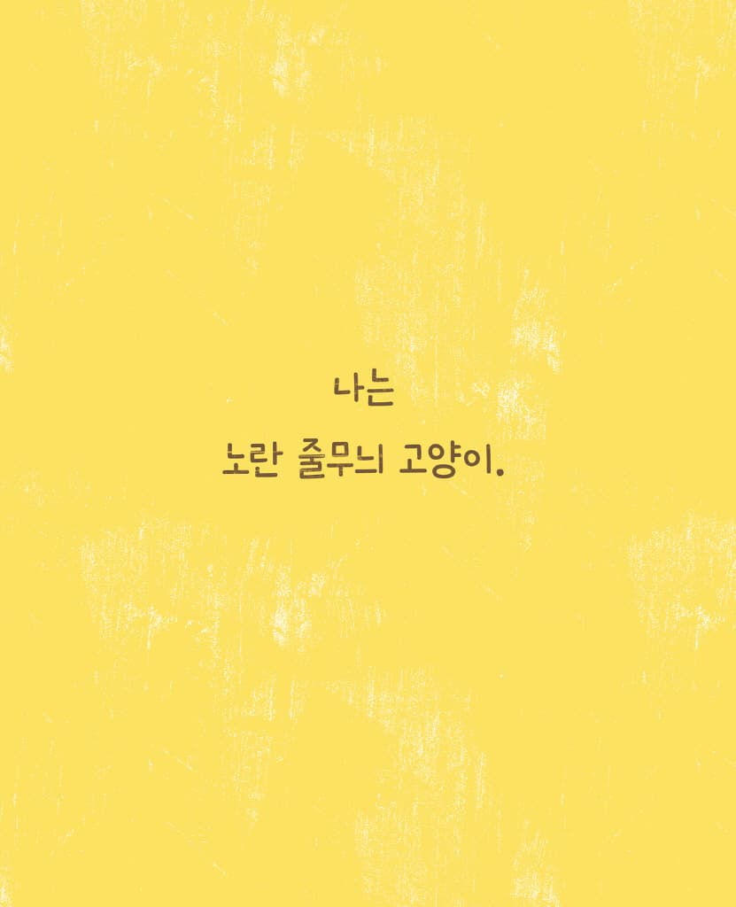 노란 줄무늬 고양이