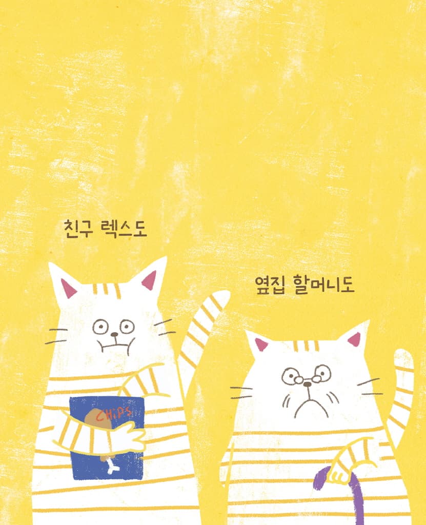 노란 줄무늬 고양이