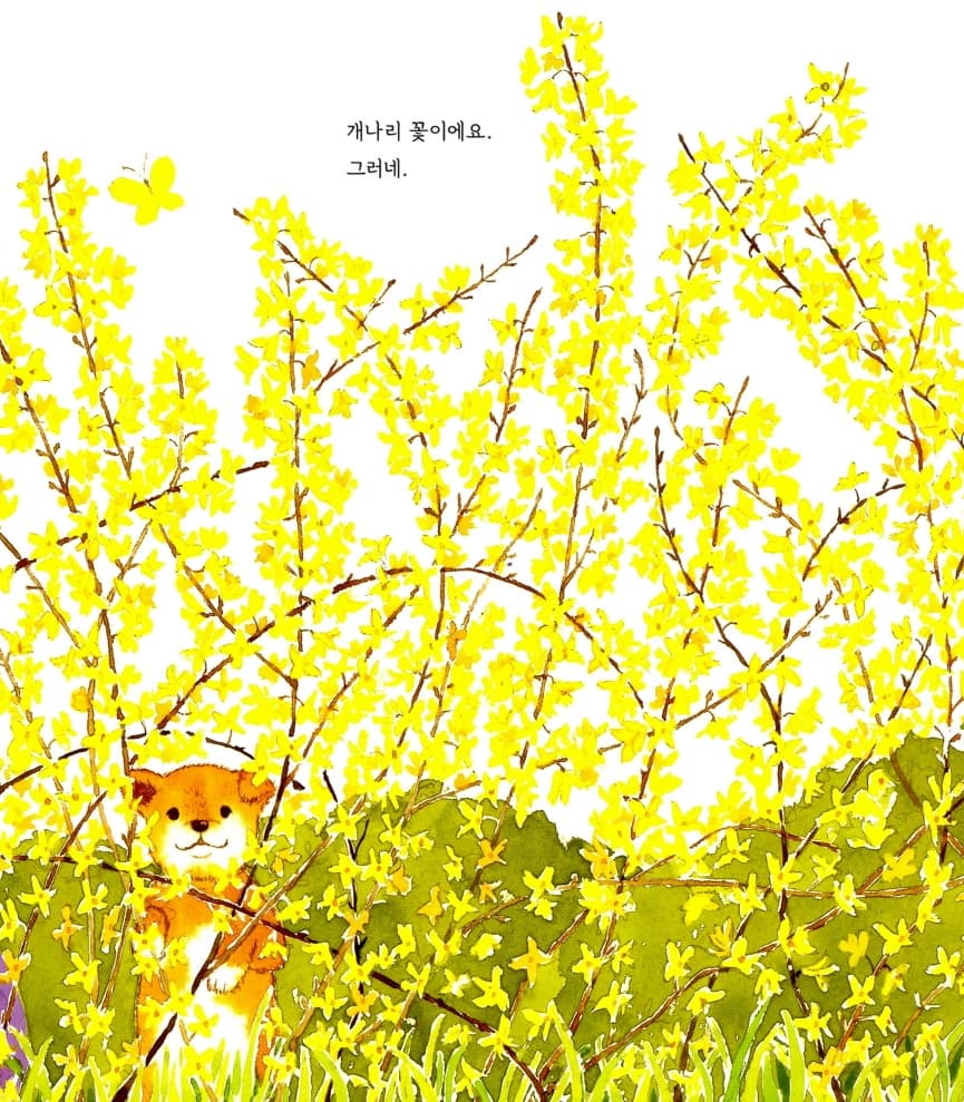 노랑 옷
