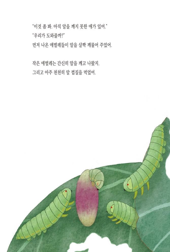 노스애르사애