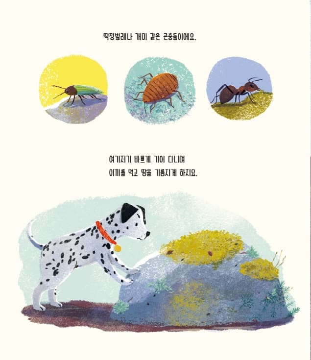 누가 숲을 만들었을까?