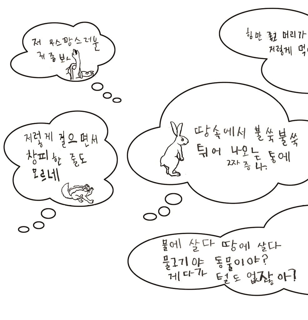 누가 숲을 지켰을까?