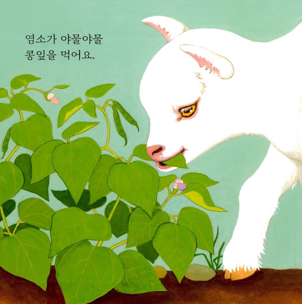 누구 밥일까요?