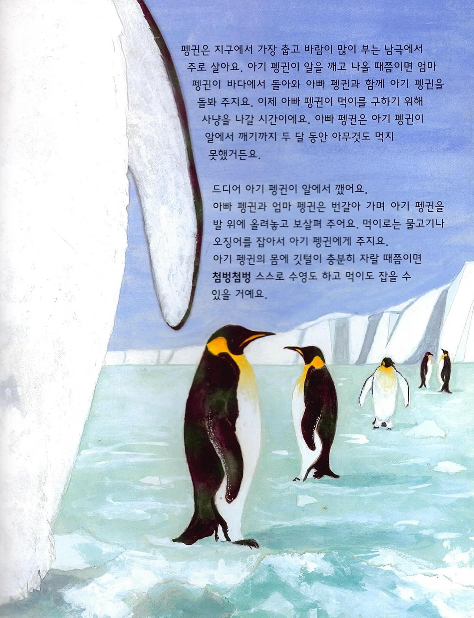 누구의 알일까요?