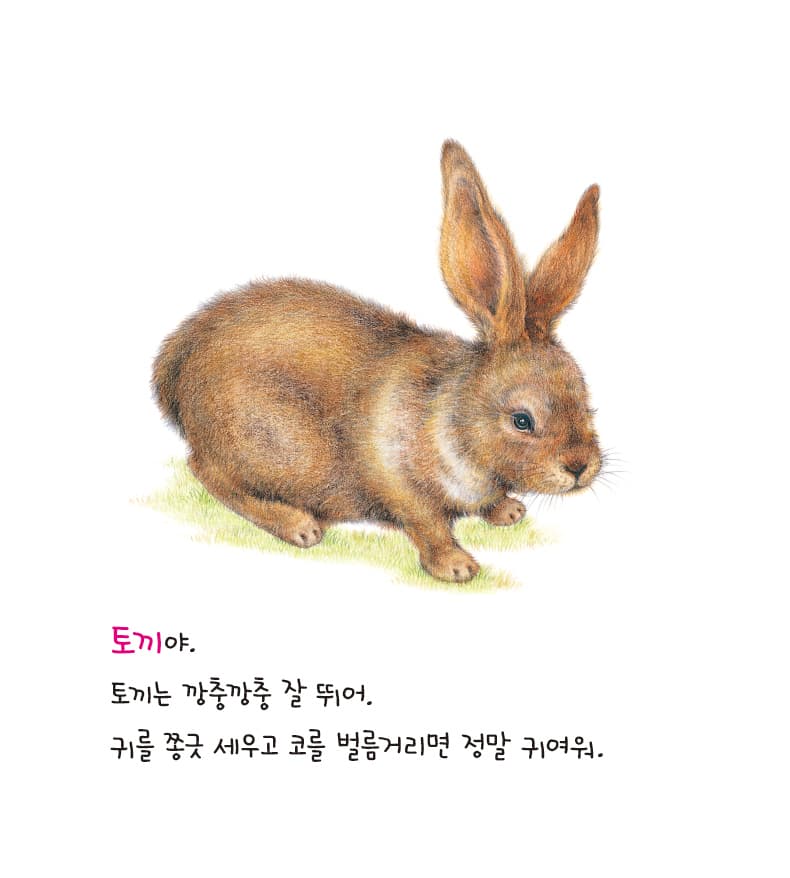 누굴까? 알아맞혀 보세요