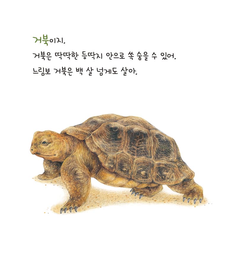 누굴까? 알아맞혀 보세요