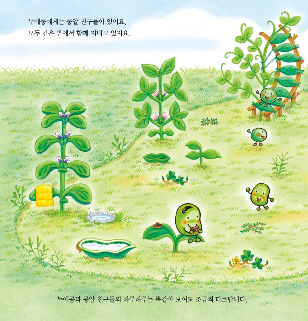누에콩과 친구들의 봄 여름 가을 겨울