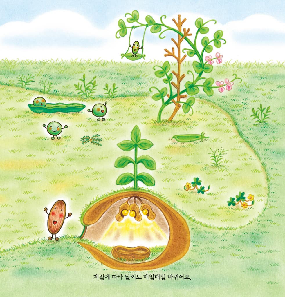 누에콩과 친구들의 봄 여름 가을 겨울