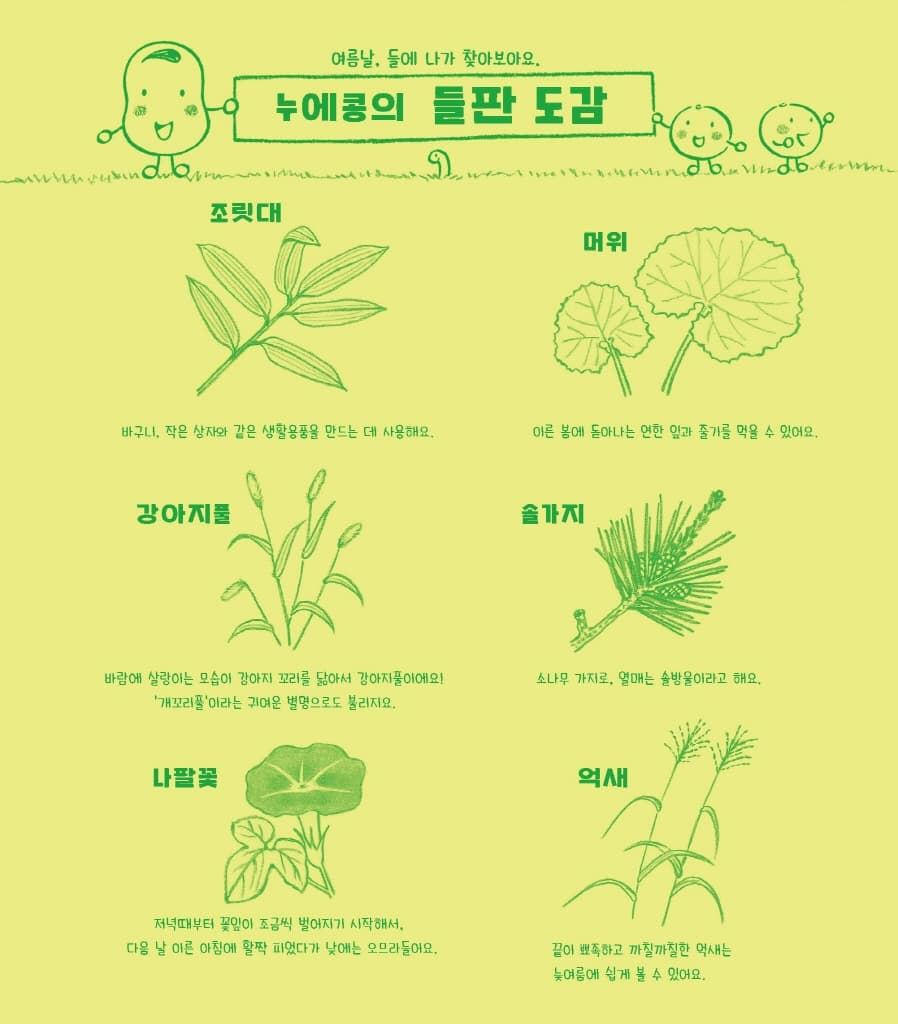 누에콩과 친구들의 하늘하늘 풀놀이