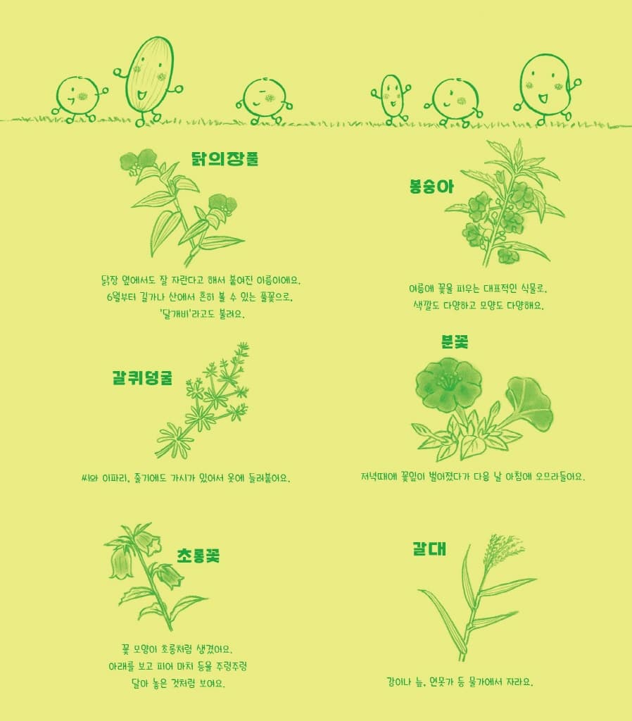 누에콩과 친구들의 하늘하늘 풀놀이