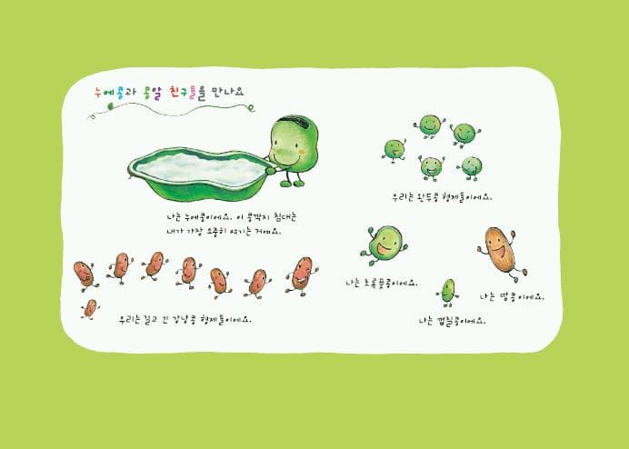 누에콩과 콩알 친구들