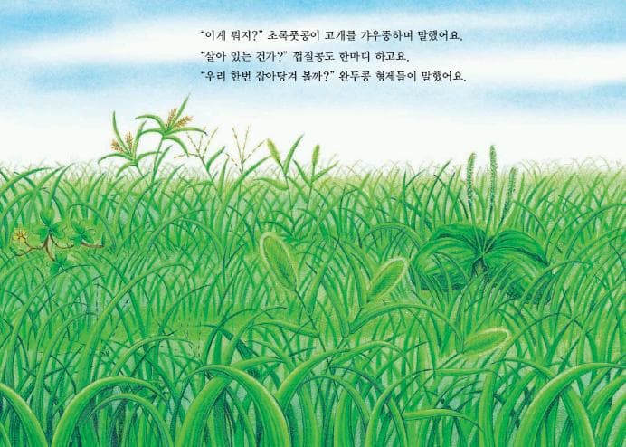 누에콩과 콩알 친구들