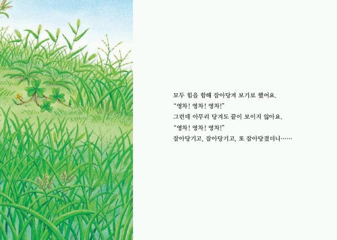 누에콩과 콩알 친구들