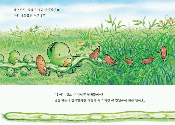 누에콩과 콩알 친구들