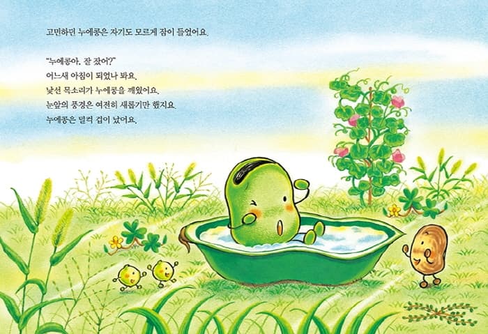 누에콩의 새 침대