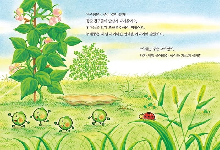 누에콩의 새 침대