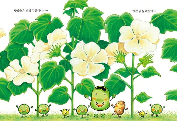 누에콩의 새 침대