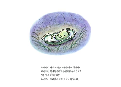 누에콩의 침대