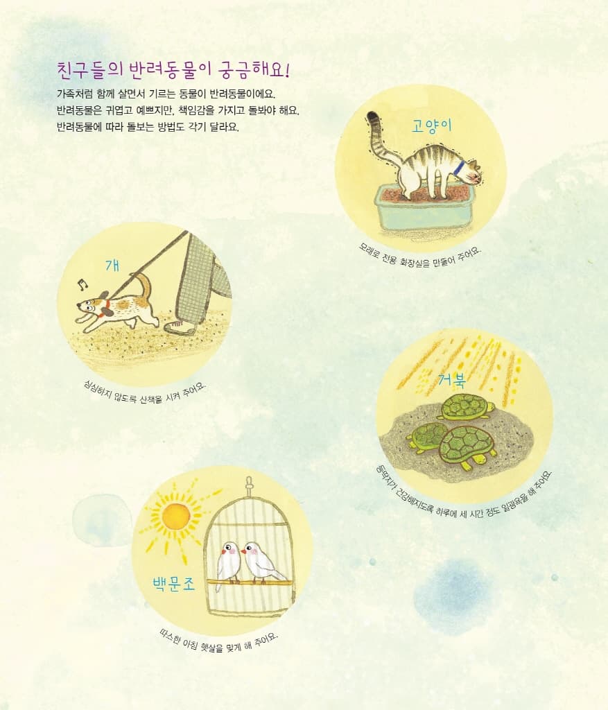 나의 첫 반려동물 비밀 물고기