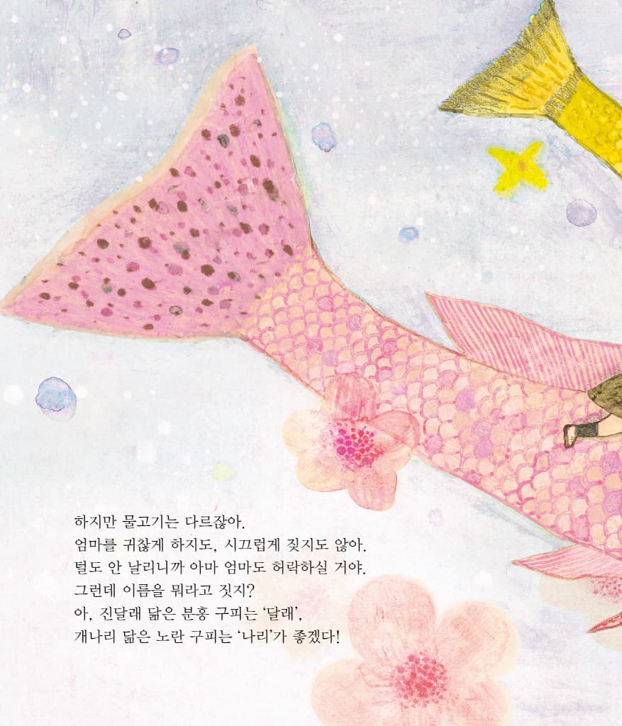 나의 첫 반려동물 비밀 물고기