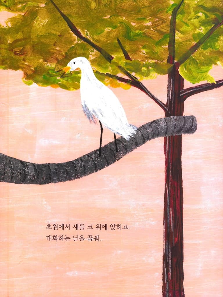 늘 꿈꾸는 코끼리