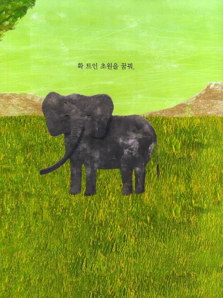 늘 꿈꾸는 코끼리