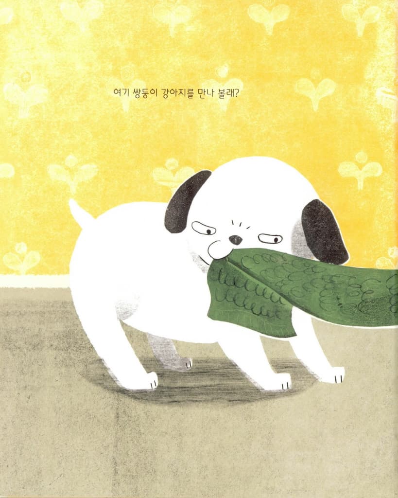 쌍둥이 강아지에게 생긴 일