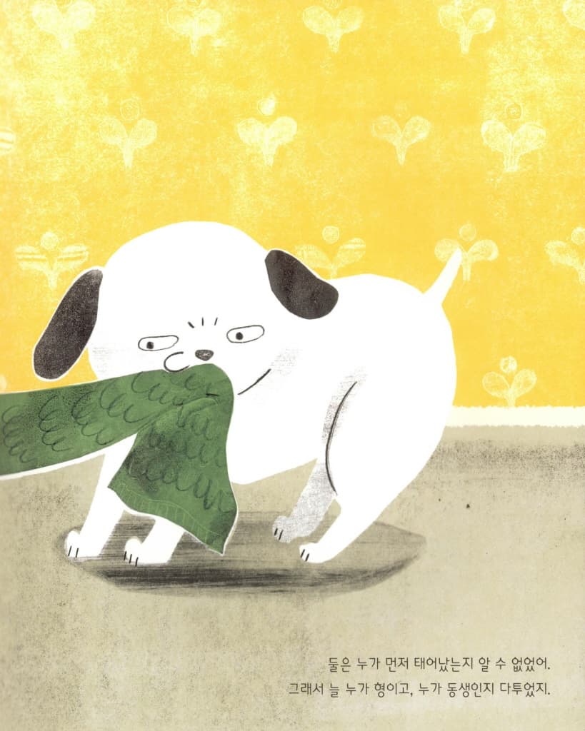 쌍둥이 강아지에게 생긴 일
