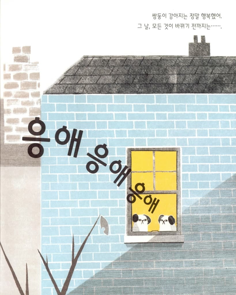 쌍둥이 강아지에게 생긴 일