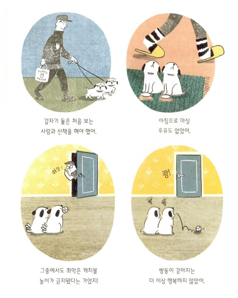 쌍둥이 강아지에게 생긴 일